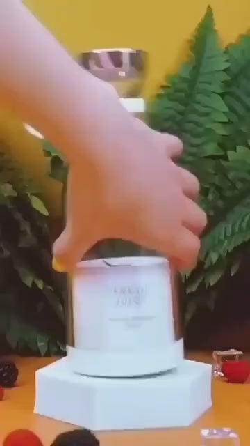 Traveler Portable Mini Juice Blender